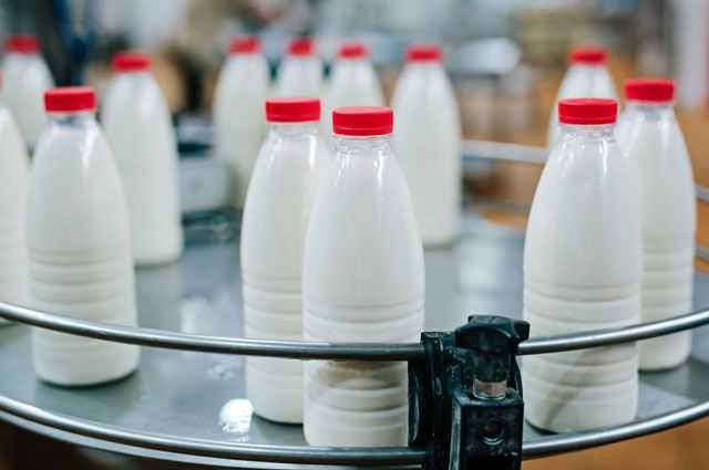 Компенсация молочных продуктов 
